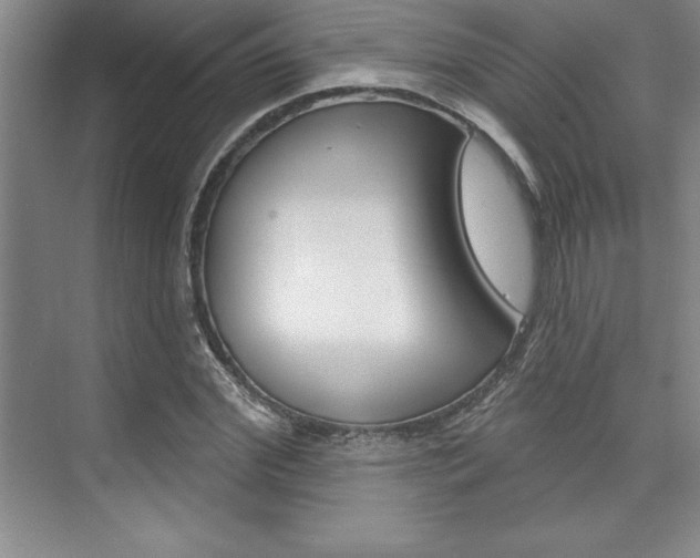 X0000073870972200608101102