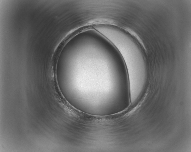 X0000073870973200608101102
