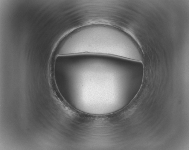 X0000073870979200608101102