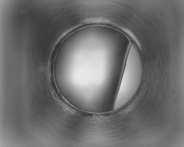 X0000073870983200608101102