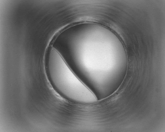 X0000073870987200608101102