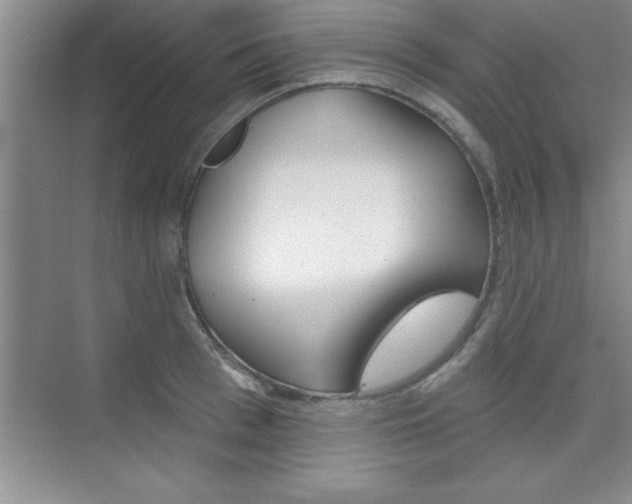 X0000073870993200608101102