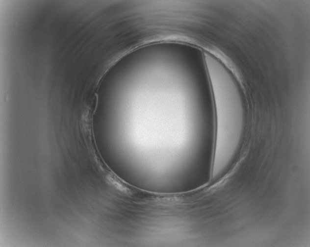 X0000073871001200608101102