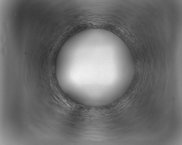 X0000073871009200608101101