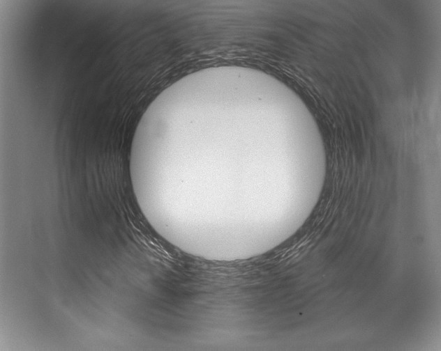 X0000073871010200608101101