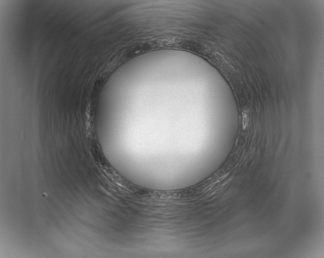 X0000073871011200608101101
