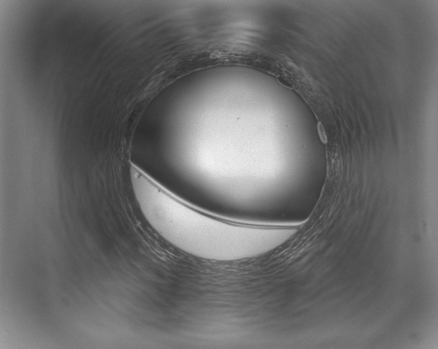 X0000073871012200608101101