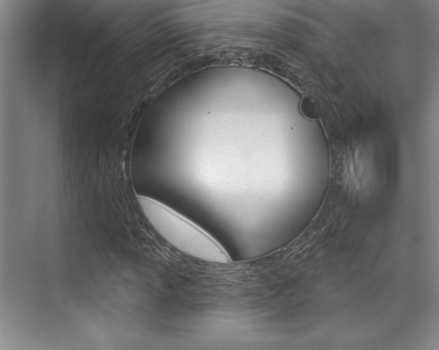 X0000073871013200608101101