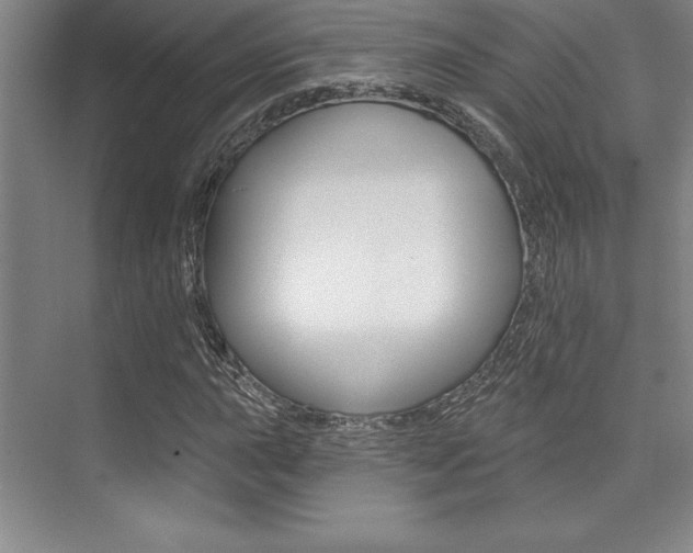 X0000073871015200608101101