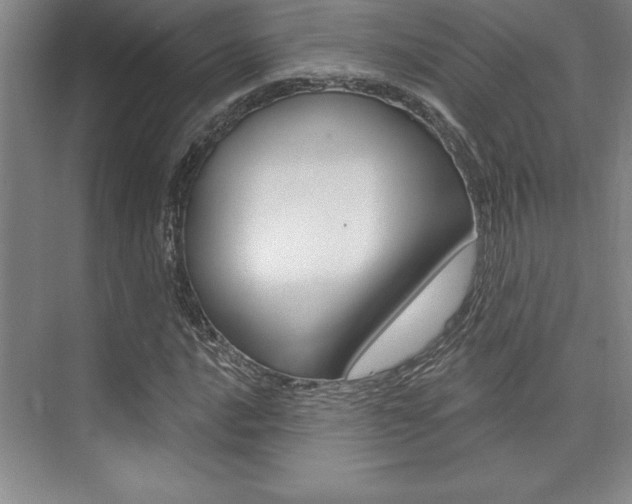 X0000073871016200608101101