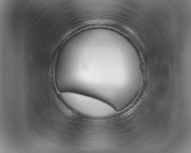 X0000073871017200608101101