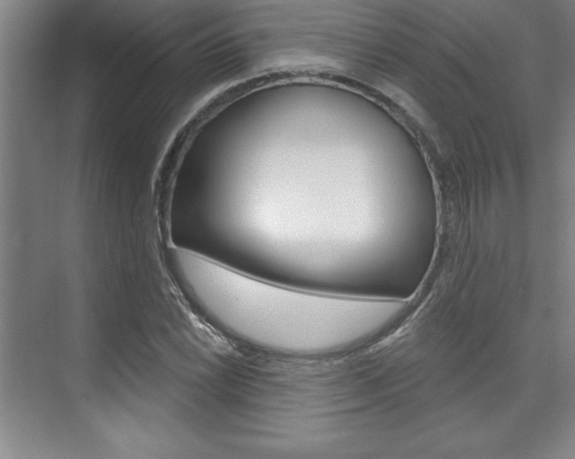 X0000073871022200608101101