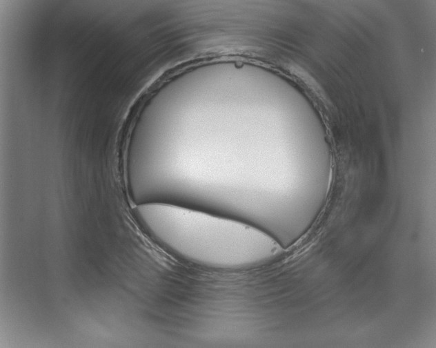 X0000073871023200608101101