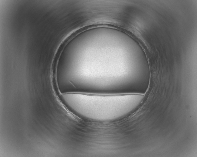 X0000073871024200608101101