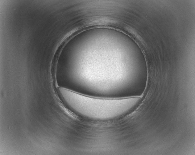 X0000073871026200608101101