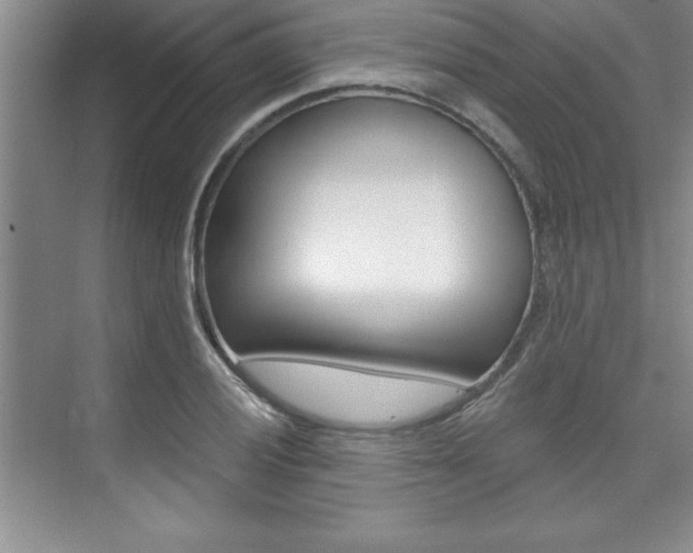 X0000073871028200608101101