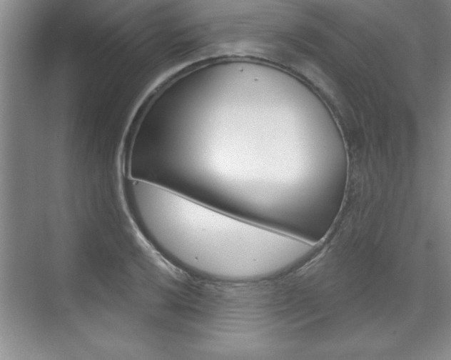 X0000073871032200608101101