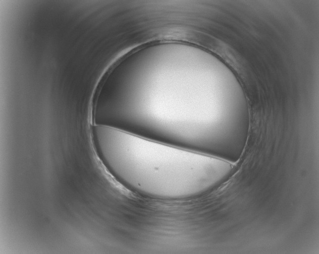 X0000073871036200608101101