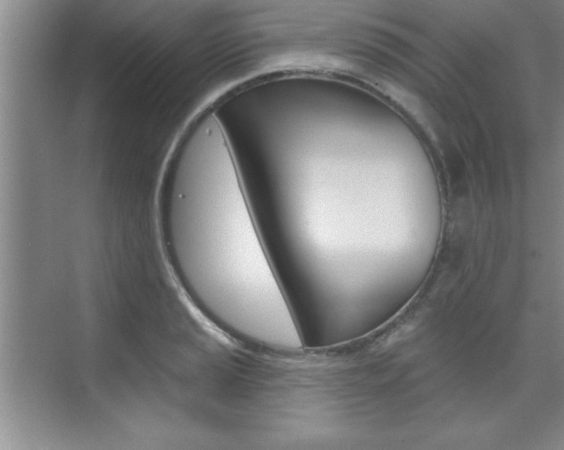 X0000073871037200608101101