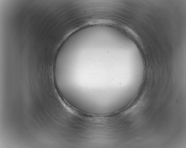 X0000073871041200608101102