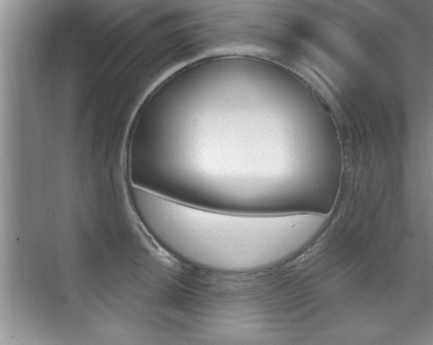 X0000073871044200608101102