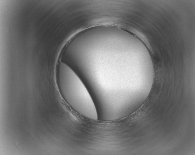 X0000073871051200608101102