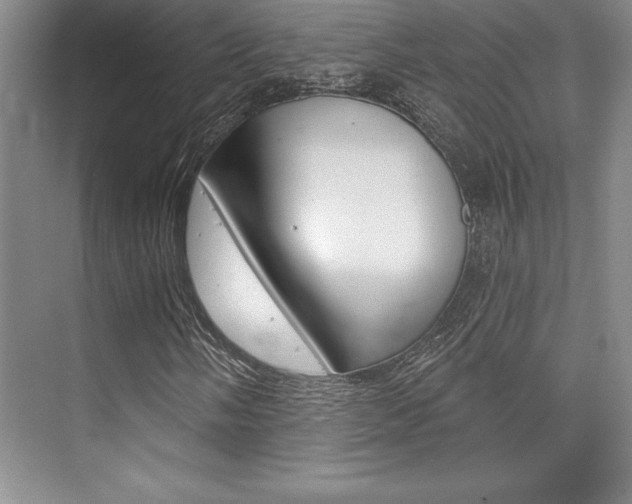 X0000073871058200608101101