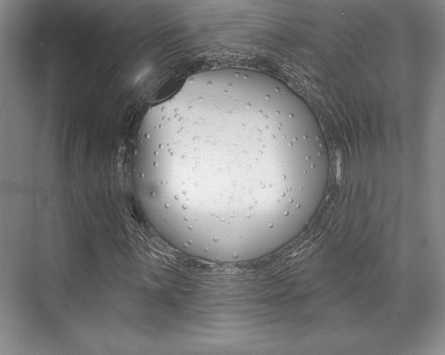 X0000073871059200608101101
