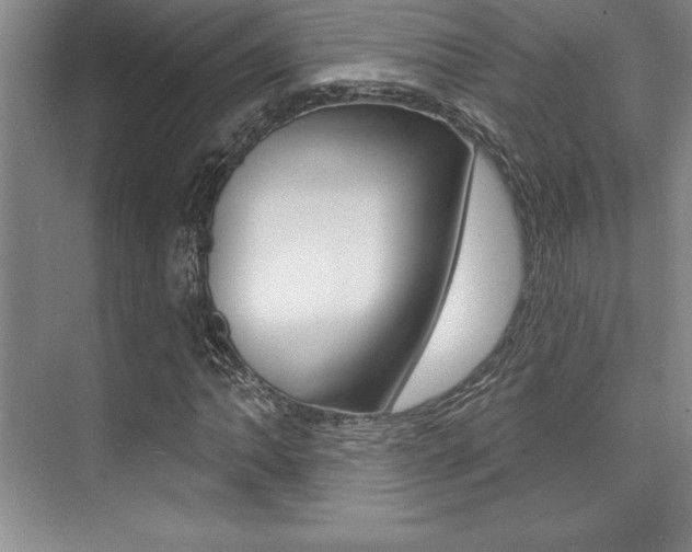 X0000073871062200608101101