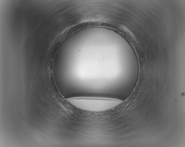 X0000073871064200608101101