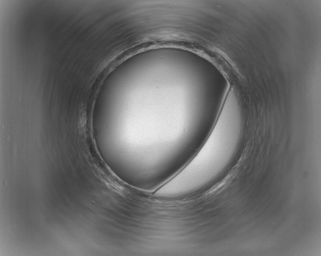 X0000073871065200608101101