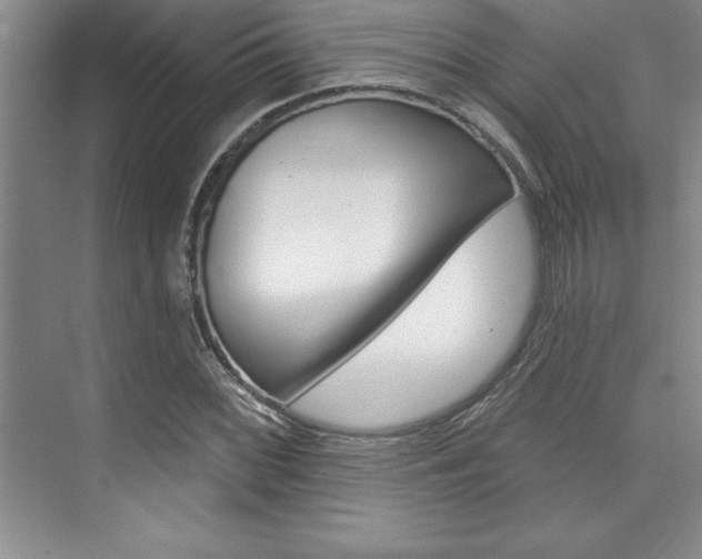 X0000073871068200608101101