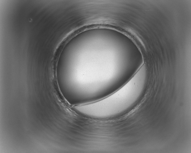 X0000073871069200608101101