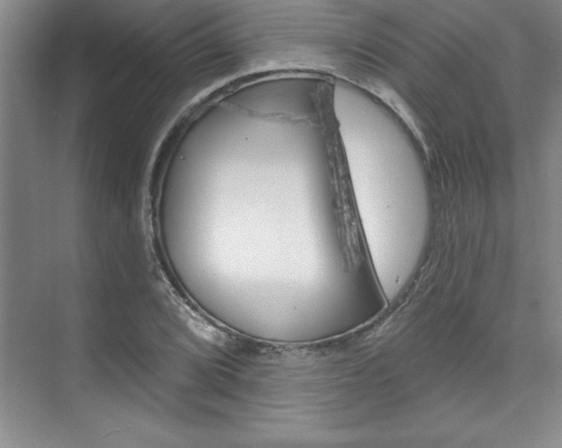 X0000073871072200608101101