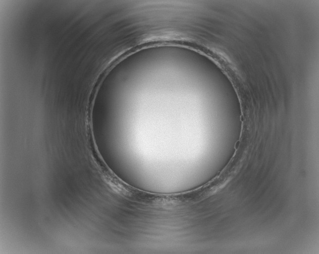 X0000073871073200608101101