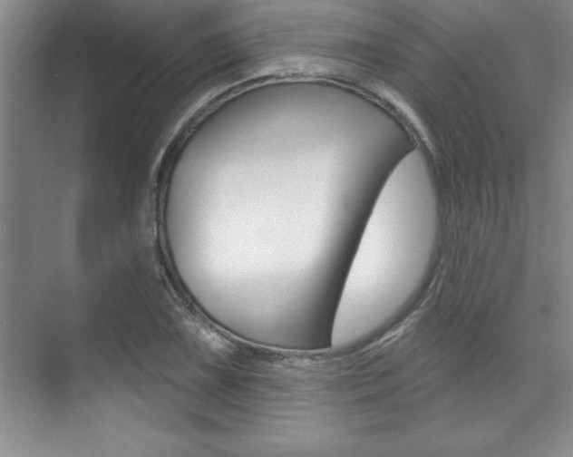 X0000073871075200608101101