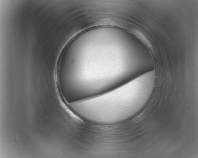 X0000073871084200608101101