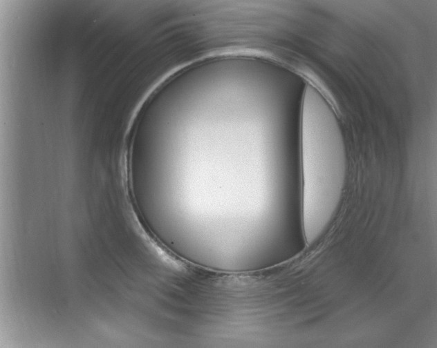 X0000073871092200608101100