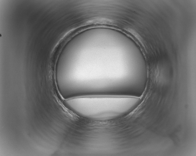 X0000073871115200608101100