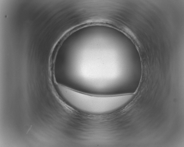 X0000073871124200608101100