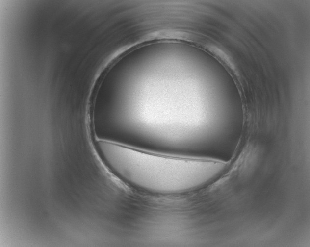 X0000073871133200608101100
