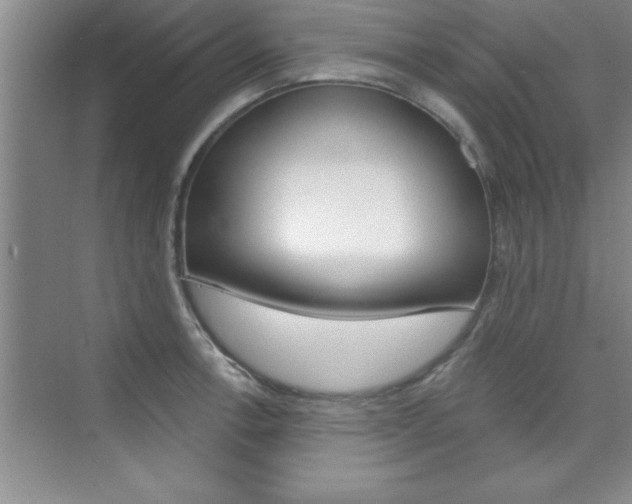 X0000073871138200608101100