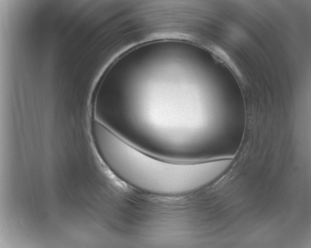 X0000073871140200608101100