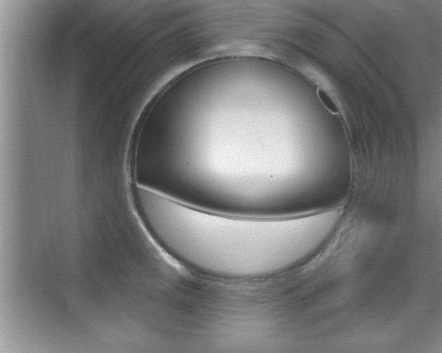 X0000073871141200608101100