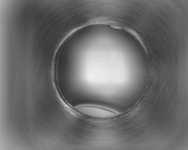 X0000073871147200608101100