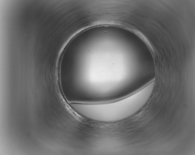 X0000073871148200608101100