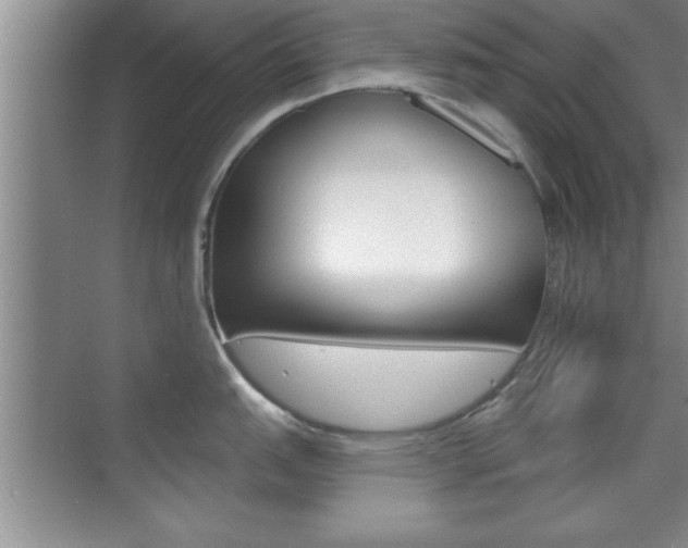 X0000073871151200608101100