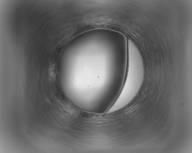 X0000073871156200608101059
