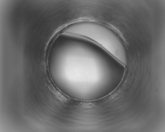X0000073871168200608101059