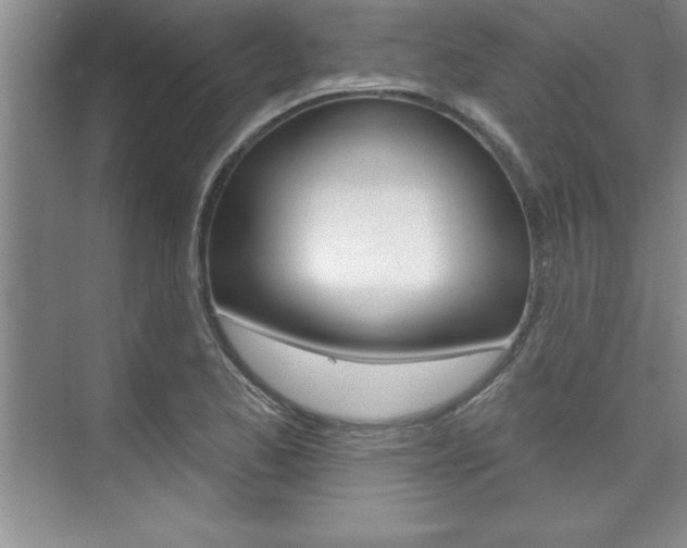 X0000073871173200608101059